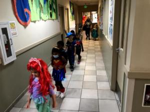 IMG 7495 (1)